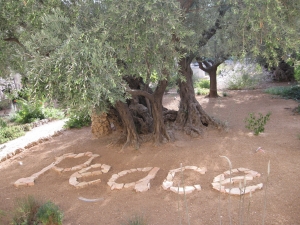 Friedenswunsch auf dem Boden des Garten Gethsemane